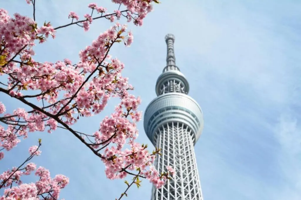 Ohanajaya 3Min Garden View House 4 Beds Tokyo Japan